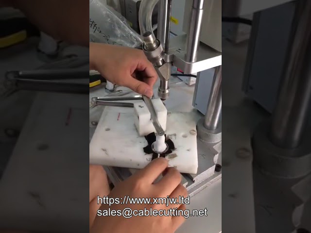 Otomatik Masaüstü Çift Milli Tornavida Vida Sıkma Makinesi
