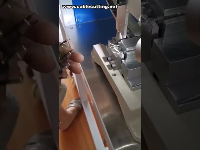 Yarı Otomatik 2 Pinli EU Fiş Kıvırma Makinesi | Verimli Kablo Sonlandırma