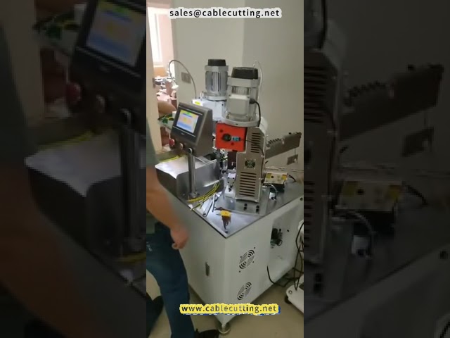 Çift Kafalı Vibrasyonlu Terminal Pres Makinesi | Yüksek Hızlı Otomatik Kablo Kıvırma