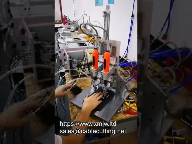 Z Ekseni Yukarı-Aşağı Hareketli Otomatik Vidalama Makinesi | OEM Otomatik Beslemeli Tornavida