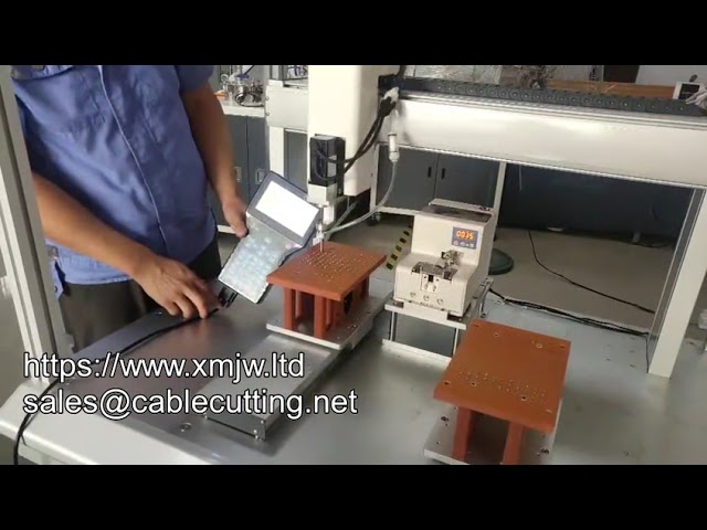 6331 Büyük Akıllı Servo Motor Vidalama Makinesi | Zemin Tipi Otomatik Sıkma Sistemi