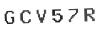 Verification Code Image